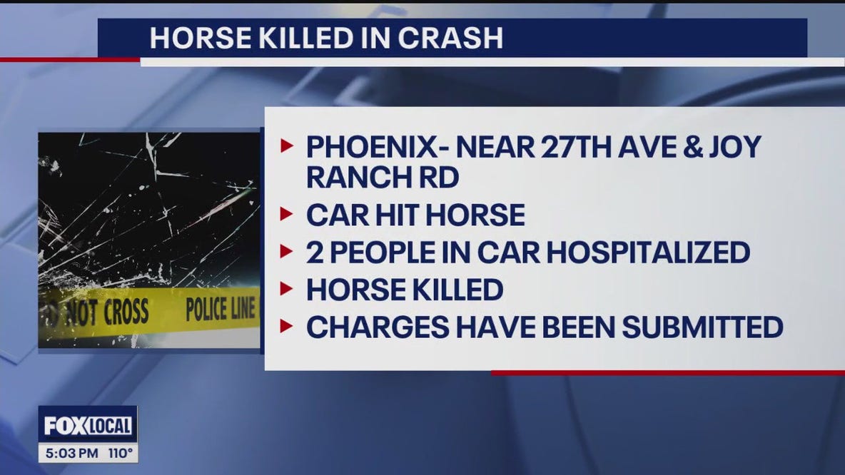Car crash kills horse; driver facing charges